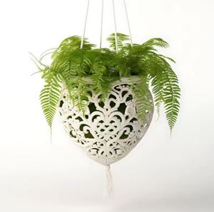 Planta para Arreglos Decorativos y de Cactus, Natureza Muerta - Product Image 1