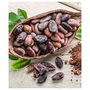 Mejor calidad de granos de cacao en venta a precio económico - Product Image 3