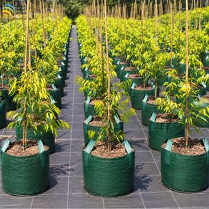 Sac de culture tissé de haute qualité 25L en HDPE avec 2 poignées pour pépinière, horticulture et jardinage - Product Image 5