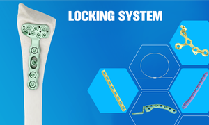 Kit d'instruments vétérinaires orthopédiques en acier inoxydable et titane pour plaques de blocage TPLO 2.7/3.5, par Dentavex - Product Image 4