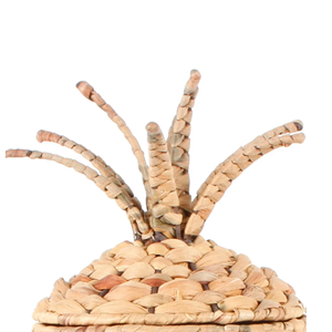 Panier de rangement en jacinthe d'eau en forme de fruit avec couvercle, panier naturel tissé à la main, pratique pour le rangement de cuisine et de maison, en provenance du Vietnam - Product Image 3