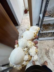 Thomsonite naturelle avec Stilbite jaune |   Spécimens de cristaux minéraux en gros pour l'exportation - Product Image 2