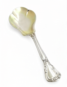 Cuillère vintage en argent plaqué avec manche long, finition miroir, design durable pour mariage et usage de table - Product Image 1