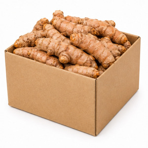 Vietnam Manufacturer Supply Special Offer Hot Sale International Standard Delicious Whole <b>Fresh</b> Turmeric 10kg - Product Image 2