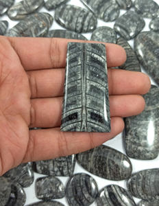 Wholesale Bulk Loose Gemstones Natural Orthoceras Fossil Cabochon <b>Healing</b> <b>Crystal</b> Quartz Mix Shape Loose Gemstone for <b>Healing</b> - Product Image 6