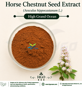 Extrait de graines de marron d'Inde (Aesculus hippocastanum L.) fourni directement par l'usine HGO, rapports 4:1, 5:1, 10:1, 20:1, 100:1, 200:1 - Product Image 1