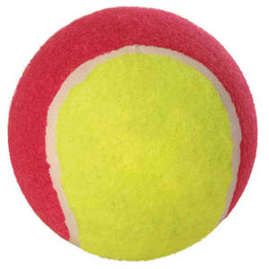 Juego de Pelotas de Tenis de Colores Surtidos de 10 cm, Juguete Interactivo para Mascotas - Product Image 1
