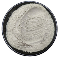 Additif pouzzolanique de poudre de zéolite de qualité construction haute activité pour le mélange de ciment de mortier de béton minéral non métallique