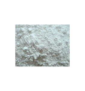 Ácidos Nucleicos para Procesos de Fermentación, Ácidos Nucleicos Premium para Investigación Industrial - Product Image 1