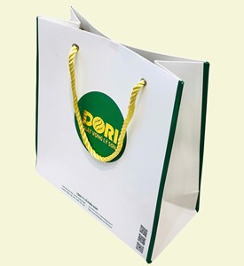 Wholesale Ivory Premium Self-Erecting Customizable Corrugated Board <b>Gift</b> Paper Bag 36 Model Number Convenient Handle Made - Product Image 2
