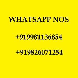 ผงสีโฮลีจากโรงงานโดยตรง – ผงสีสำหรับงานอีเว้นท์สีสันสดใส เหมาะสำหรับกิจกรรมองค์กรและการระดมทุน - Product Image 6