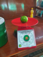Citrons sans pépins de qualité exportés du Vietnam à haute teneur en jus mûri au soleil, peau propre et lisse emballée pour une distribution mondiale