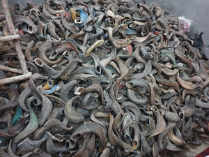 Shofar de Cuerno de Carnero Natural Hecho a Mano con Certificación Kosher, Forma Natural, Pulido Tradicional, Ritual Judío, Ecológico, Judaica - Product Image 3