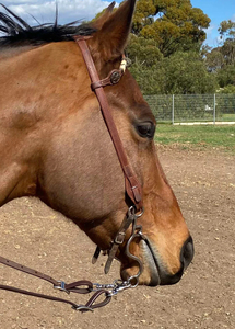 Bocado de Acero Inoxidable de Caña Larga para Caballos con Boca Pulida y Lisa para Uso en Entrenamiento Ecuestre - Product Image 4
