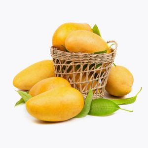 Mangue fraîche de qualité supérieure du Vietnam, qualité d'exportation, fruit tropical naturellement sucré - Product Image 1