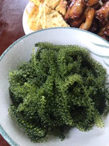 Caviar vert naturel aux raisins de mer | Approuvé Halal pour les marchés internationaux - Product Image 6