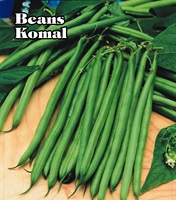 Kacang Polong Perancis Moon Star KOMAL Seeds-99% Alami 85% Daya Tumbuh 2 Tahun Umur Simpan 1% Bahan Inert Asal Pakistan Hijau Tua
