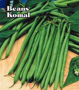 เมล็ดถั่วฝรั่งมูนสตาร์ โกมาล อายุการเก็บรักษา 2 ปี - Product Image 5