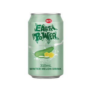 VEDAN EARTH POWER Bebida de Jugo Esterilizada con Sabor a Melón de Invierno en Botella de 310 ml - Product Image 2