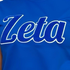 Camiseta Azul de Chenilla Zeta Phi Beta para Mujer, Camiseta Casual Bordada con Letras Griegas de la Hermandad Zeta - Product Image 4