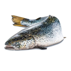 Filete de salmón congelado, salmón fresco y congelado del Atlántico, salmón entero congelado, cabeza de salmón - Product Image 6