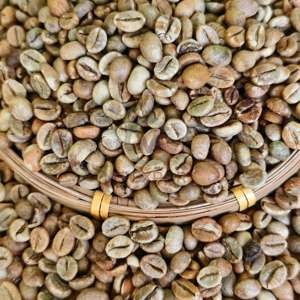 Factory Export Premium Arabica Green Coffee <b>Beans</b> Grade 1 Perfect For SpecialtyVietnam Origin PP <b>Bags</b> Ready to Ship - Product Image 5