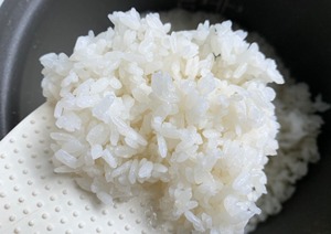 ข้าวพรีเมียมโคชิฮิคาริ ชูชิ ไรซ์ จาโปนิก้า ข้าวเม็ดกลม - ขายส่งจำนวนมาก 5กก./10กก./20กก./25กก./50กก. |   ราคาดีที่สุดและคุณภาพสูง - Product Image 6