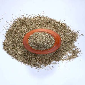 Semillas de Ajwain Secas Naturales de Gujarat de Primera Calidad, Granuladas, Seleccionadas, en Empaque a Granel de Grado Alimenticio, para el Mercado Alemán, FitTree International - Product Image 2