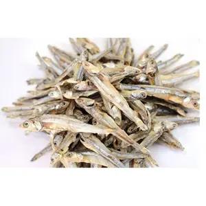 GETROCKNETER ANCHOVY-FISCH AUS VIETNAM - BEST SELLER PREMIUM GRAED DRIED ANCHOVY WETTBEWERBS PREIS/FÜR DEN EXPORTIEREN