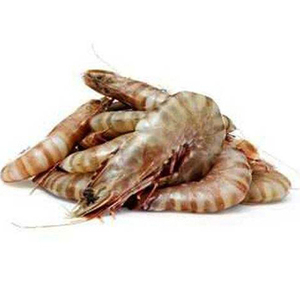กุ้ง/อาหารทะเล/กุ้งลายเสือแช่แข็ง ราคาถูก - Product Image 2