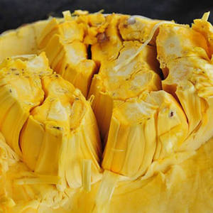 Jackfruit séché par congélation en vrac FD, chips de fruits croustillants, sucrés et sains, en-cas - Product Image 5