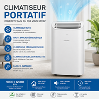 Climatiseur mobile portable, climatisation mobile, 9000 BTU, 12000 BTU, R290, climatiseurs AC OEM