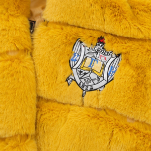 Manteau court en fausse fourrure jaune doré pour femme, veste à capuche en peluche avec patch brodé, chaud et tendance pour l'hiver, style streetwear duveteux - Product Image 6