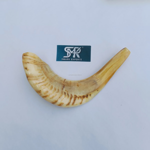 Shofar en corne de bélier poli de qualité supérieure, finition naturelle, écologique, pour les fonctions religieuses, l'usage rituel, les rassemblements spirituels et cérémoniels - Product Image 2