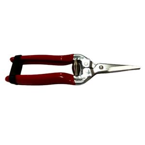 <b>JACK</b> WORTH Stainless Steel Long-Nose Fruit <b>Scissor</b> with Metal Handle for Garden Use - Product Image 3