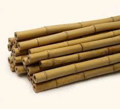 Bamboo Materials Bamboo <b>Poles</b> And Bamboo Stakes Are Used <b>For</b> Planting - Product Image 5