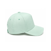Gorra de Béisbol Verde Menta con Logotipo Personalizado al por Mayor, Gorra Casual Ajustable de 5 Paneles de Algodón, Color Sólido, para Primavera y Verano, Multicolor