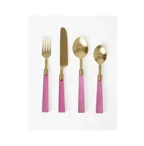 Ensemble de cuillères modernes en résine avec manche, couverts en acier inoxydable pour la maison, la salle à manger, la cuisine et les restaurants - Product Image 1