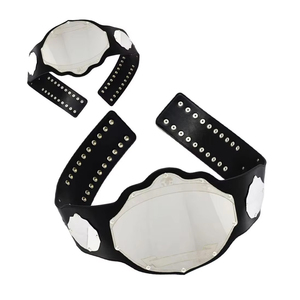 Ceinture de championnat de lutte plaquée argent, logo personnalisé de haute qualité, fournisseur en gros de qualité supérieure, ODM 2026, couleur unique - Product Image 3