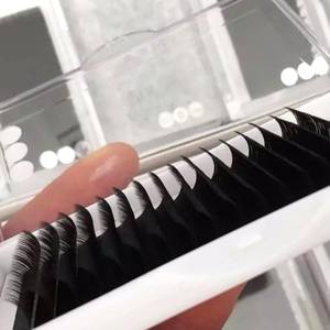 Plateau individuel pour extensions de cils, 12/16 rangées, fibres synthétiques PBT coréennes, longues, foncées, mates, marque privée OEM - Product Image 1