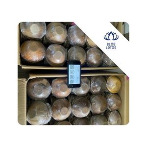 Assiettes en feuilles de palmier disponibles pour les buffets, les traiteurs, les événements et les restaurants au Vietnam - Product Image 1