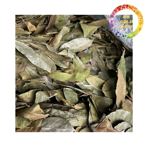 ชาสมุนไพรธรรมชาติใบทุเรียนเทศแห้งใบกริโอลาเป็นกลุ่มสินค้าเวียดนาม - Product Image 4