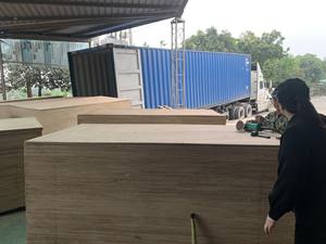 ไม้อัดบินตังกอร์ขาย - ไม้อัดราคาแข่งขันดีที่สุด - ไม้อัดสำหรับใช้ภายในและภายนอก - Product Image 5