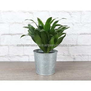 Pots de seau à fleurs en fer galvanisé en métal Pot de plantes pour la décoration suspendue de jardin à la maison - Product Image 5