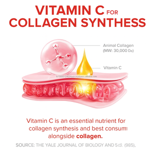 Colágeno 500Da Gluta Elastin Beauty Gummy Stick con Granada coreana OEM - Product Image 3