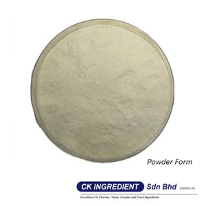 Premium High Quality Honeydew Juice Powder Halal OEM B2B <b>Best</b> Supplier Guarantee Top Sale Refreshing Melon Flavor Beverage Mix - Product Image 4