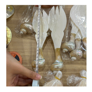 Cuillère artisanale en nacre avec manche en coquillage naturel pour une mise en scène de table de luxe - Product Image 6