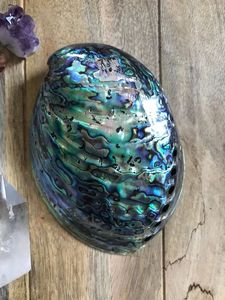 Bulk Natural <b>Abalone</b> <b>Shell</b> Decorative Seashell for Jewelry Craft Home Decoration Wedding Wholesale Vietnam Supplier - Product Image 2