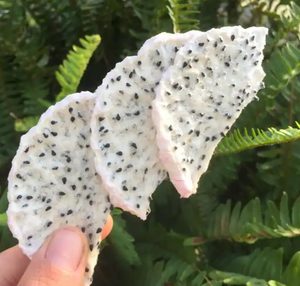 Snack exotique séché sous vide avec texture croustillante pour l'exportation en vrac du Vietnam - Product Image 3