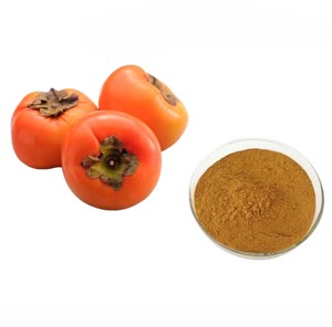 Extracto de Caqui al por Mayor 10:1, Extracto de Fruta de Caqui 100% Puro, Polvo de Diospyros Kaki Premium al Mejor Precio desde India - Product Image 2